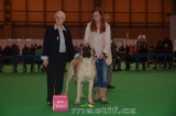 crufts 2014 Mona Best Puppy